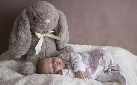 Baby schläft mit großem Elefanten-Kuscheltier