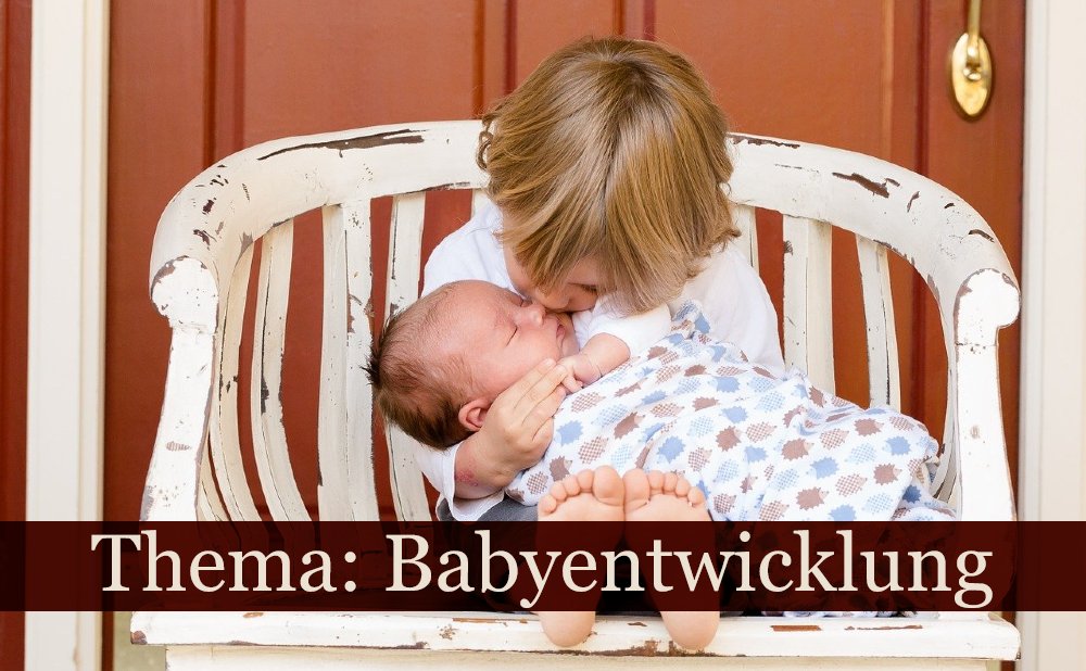 Babyentwicklung