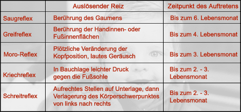 Baby Reflexe Übersicht
